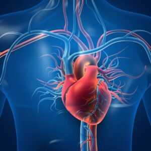 Heart & Metabolic Panel (Female & Male)